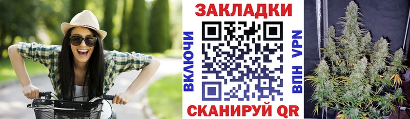 APVP Саров