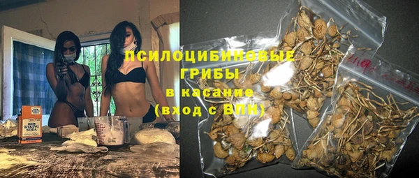 спайс Алзамай