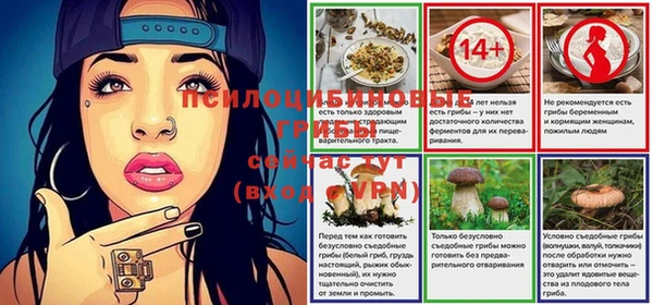 мяу мяу мука Алексеевка