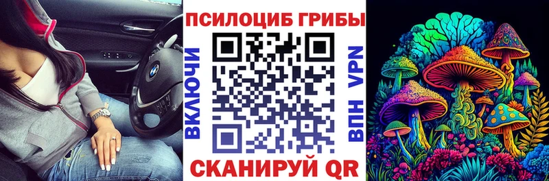 Псилоцибиновые грибы прущие грибы  блэк спрут ТОР  Саров 