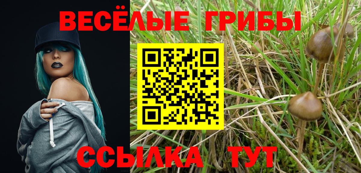 Галлюциногенные грибы MAGIC MUSHROOMS  купить  сайты  Вход с VPN  Саров  Галлюциногенные грибы GOLDEN TEACHER 