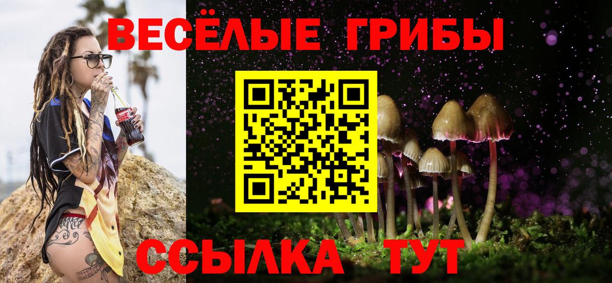 Галлюциногенные грибы прущие грибы Саров